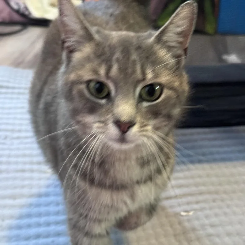 Margeret thumbnail 2