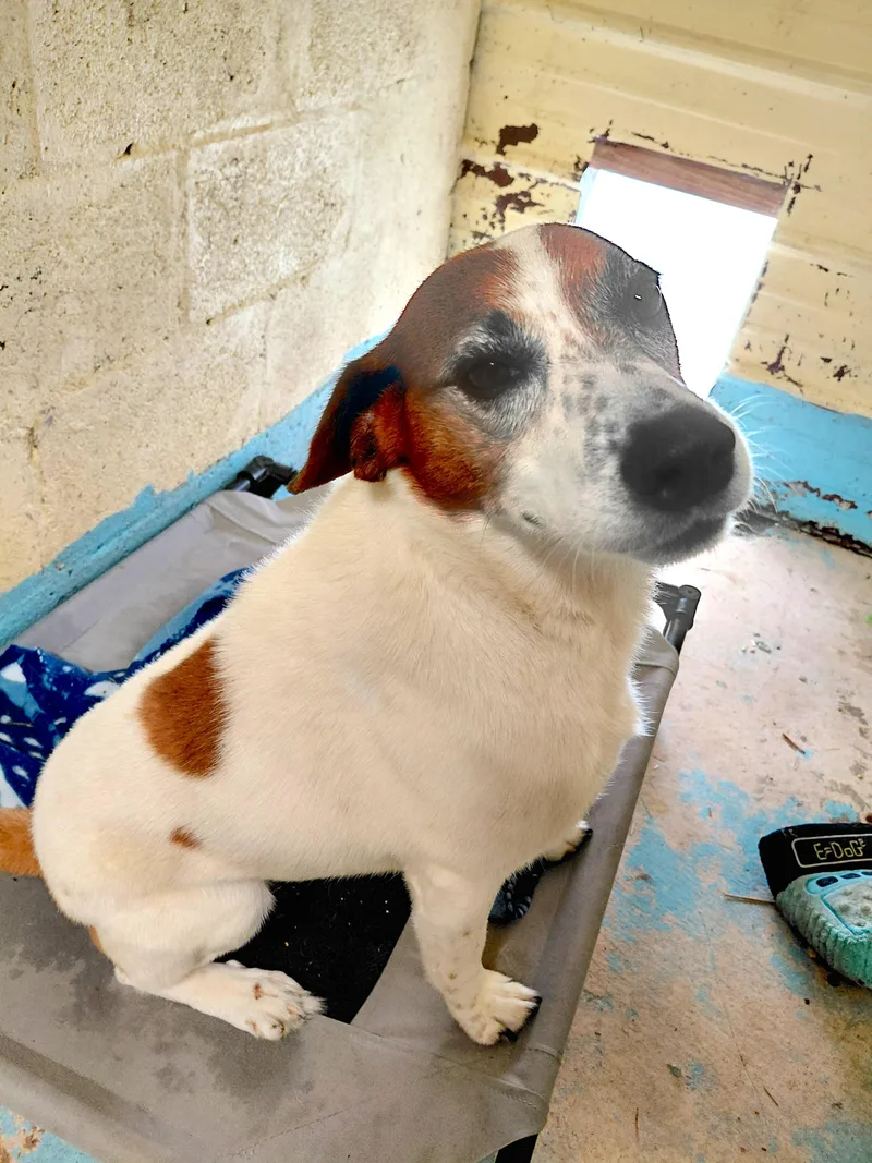 Heidi thumbnail 5
