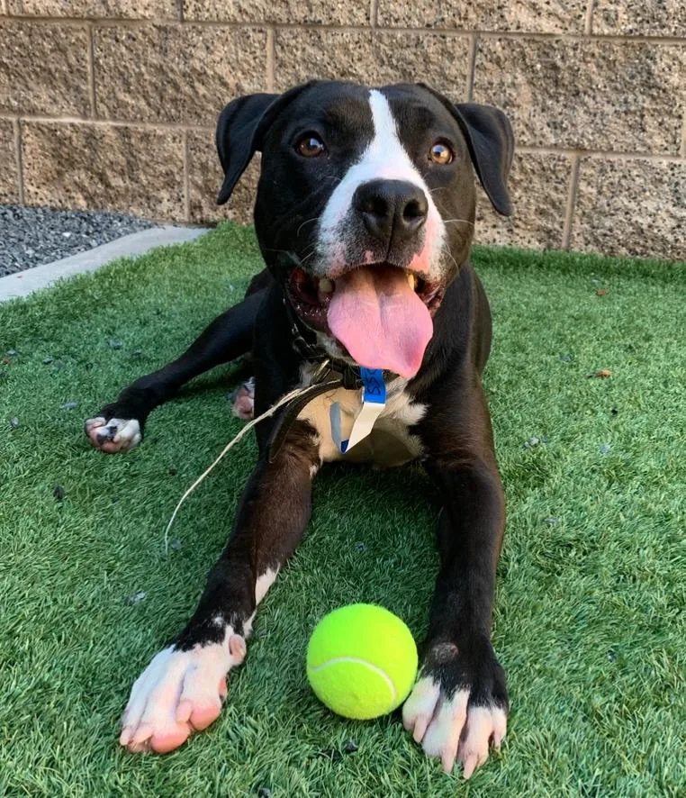 Urgent Deadline Approaching Save