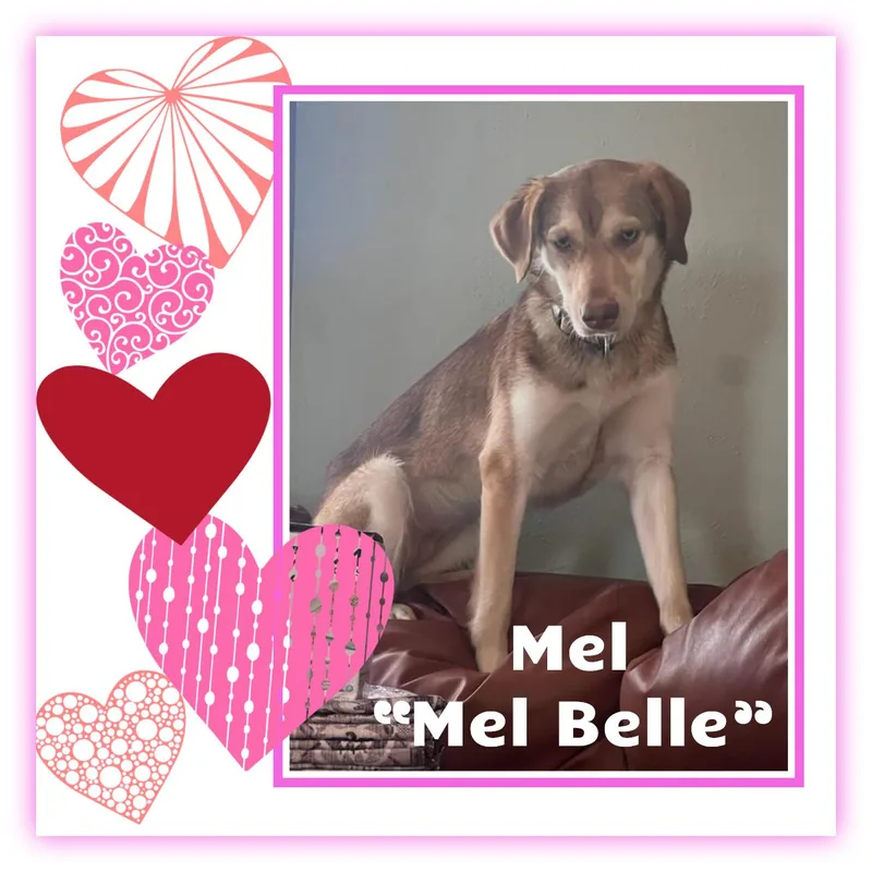 Mel "Mel Belle" thumbnail 3