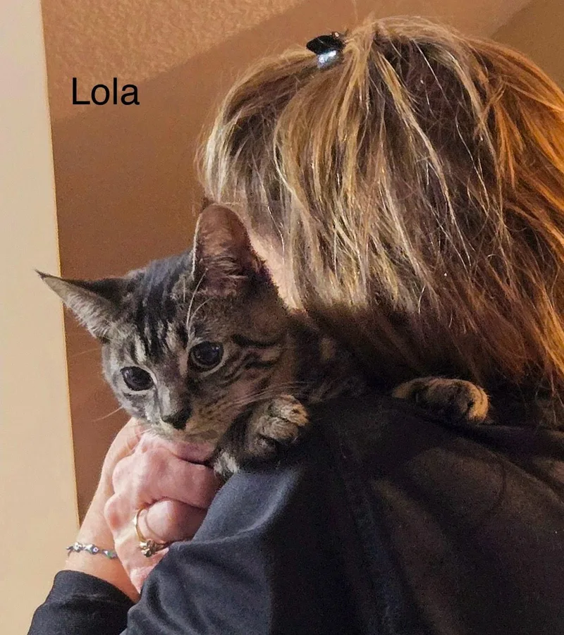 Lola