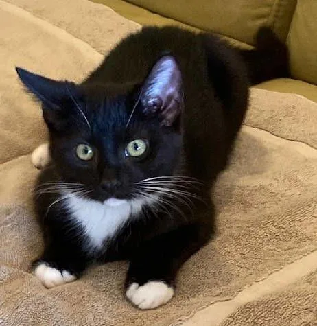 Trixie & Cry Baby thumbnail 2