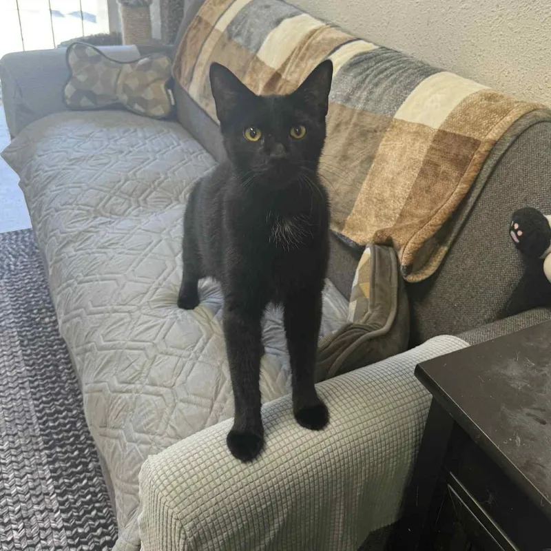 Beary thumbnail 2