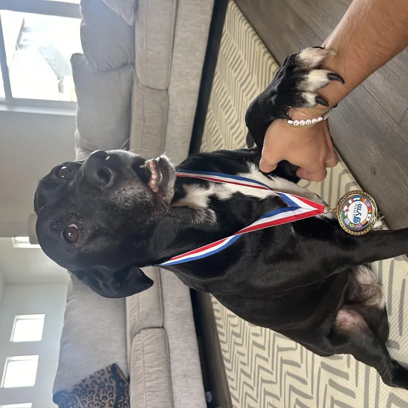 Annie In Colorado thumbnail 2