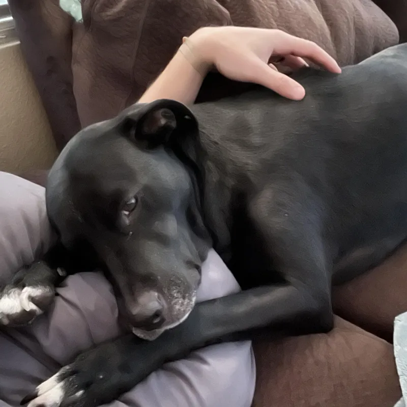 Annie In Colorado thumbnail 3