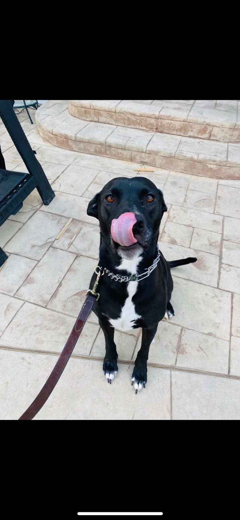 Annie In Colorado thumbnail 4