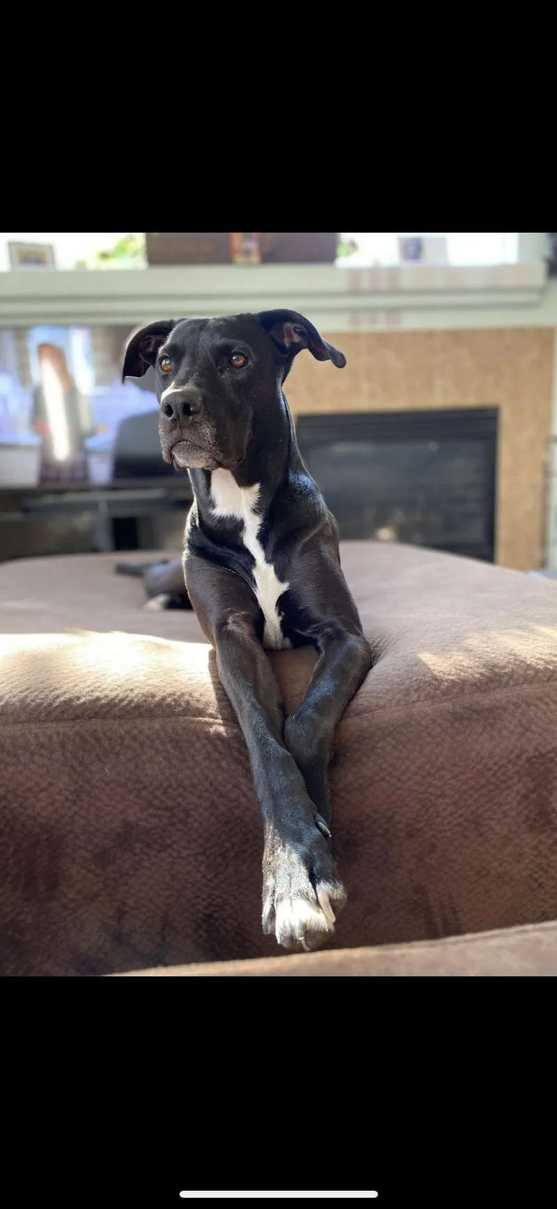 Annie In Colorado thumbnail 5