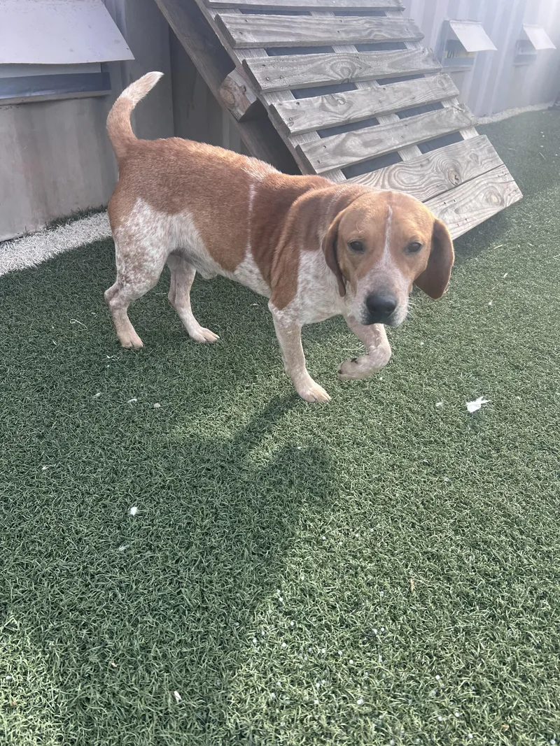 Duncan And Donut thumbnail 3