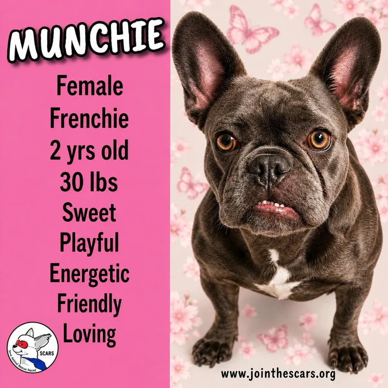 Munchie thumbnail 2