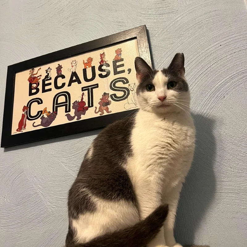 Pumpkin Spice thumbnail 4