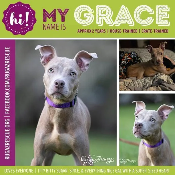 Grace thumbnail 3