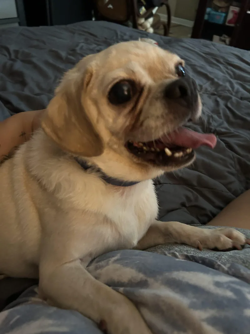 Sammy