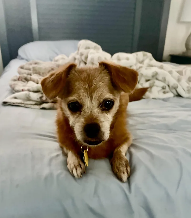 Winnie