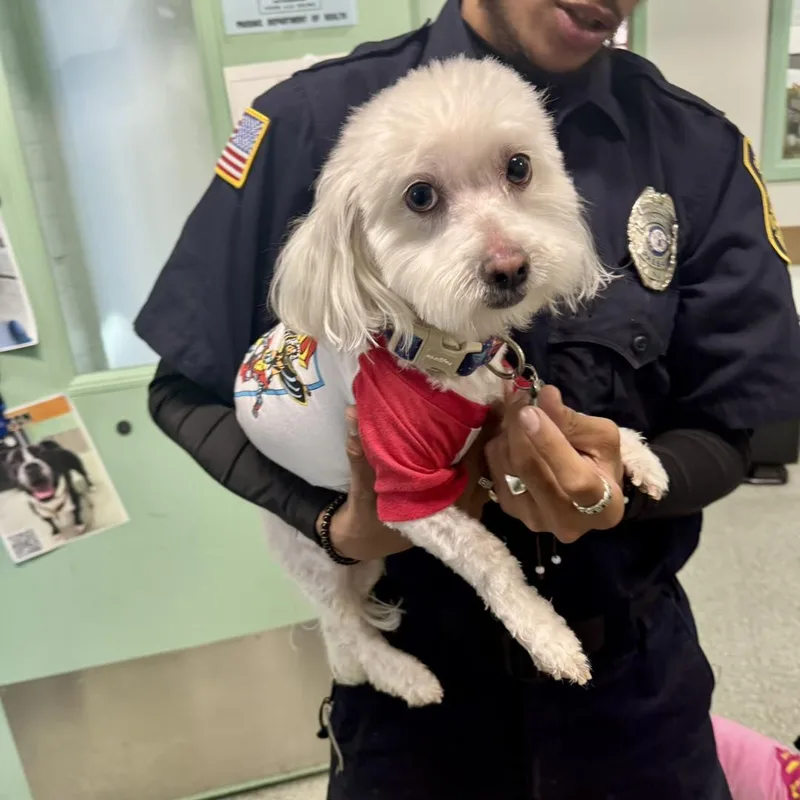 Micky & Minnie thumbnail 2