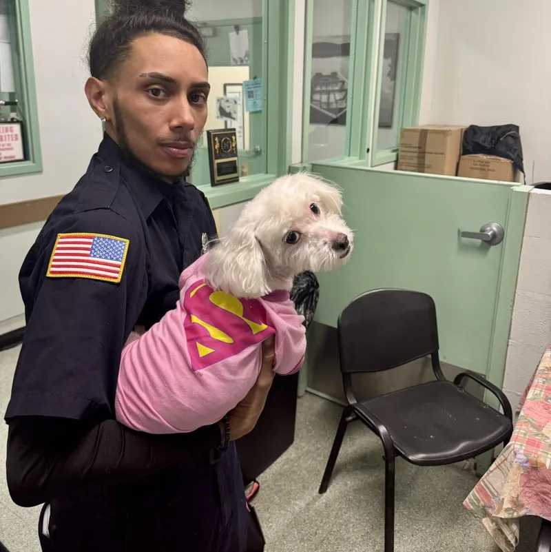 Micky & Minnie thumbnail 3