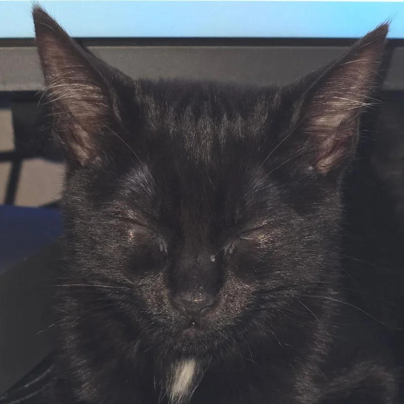 Lydia