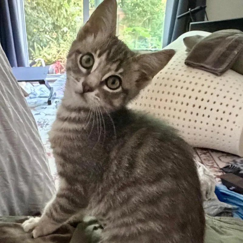 Suzy Mew thumbnail 3