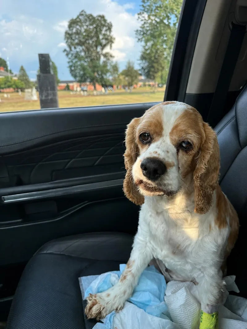 Mildred Millie