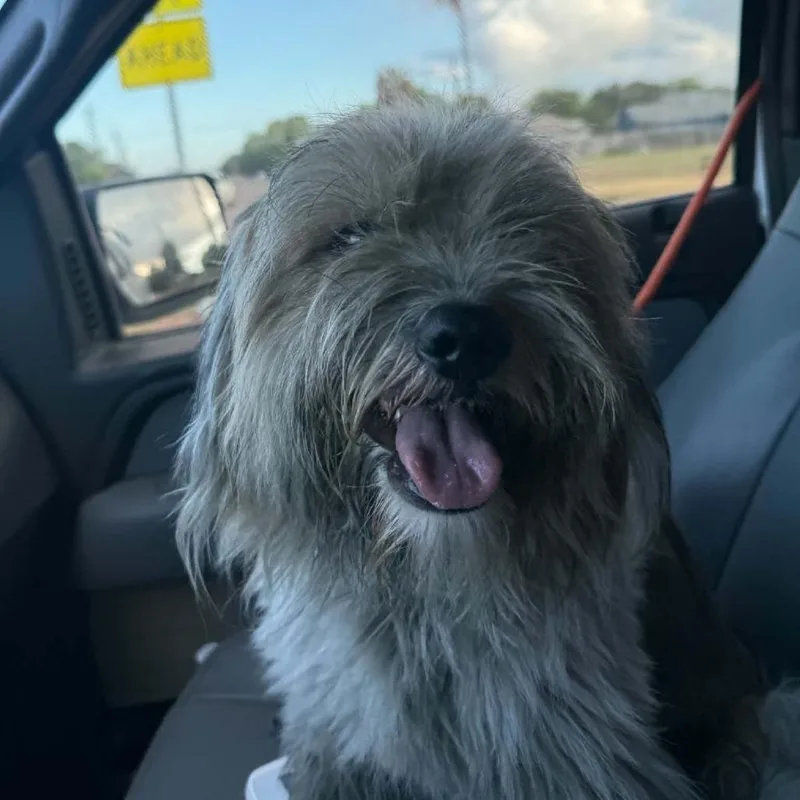 TXACStray