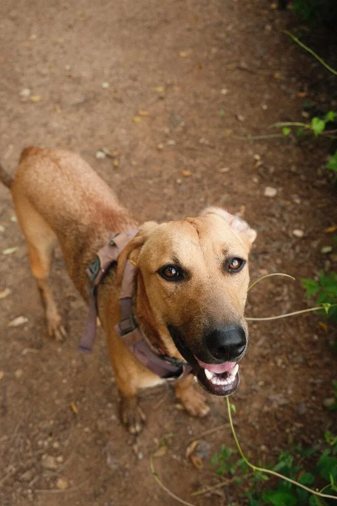 Raquel  Money Heist thumbnail 2