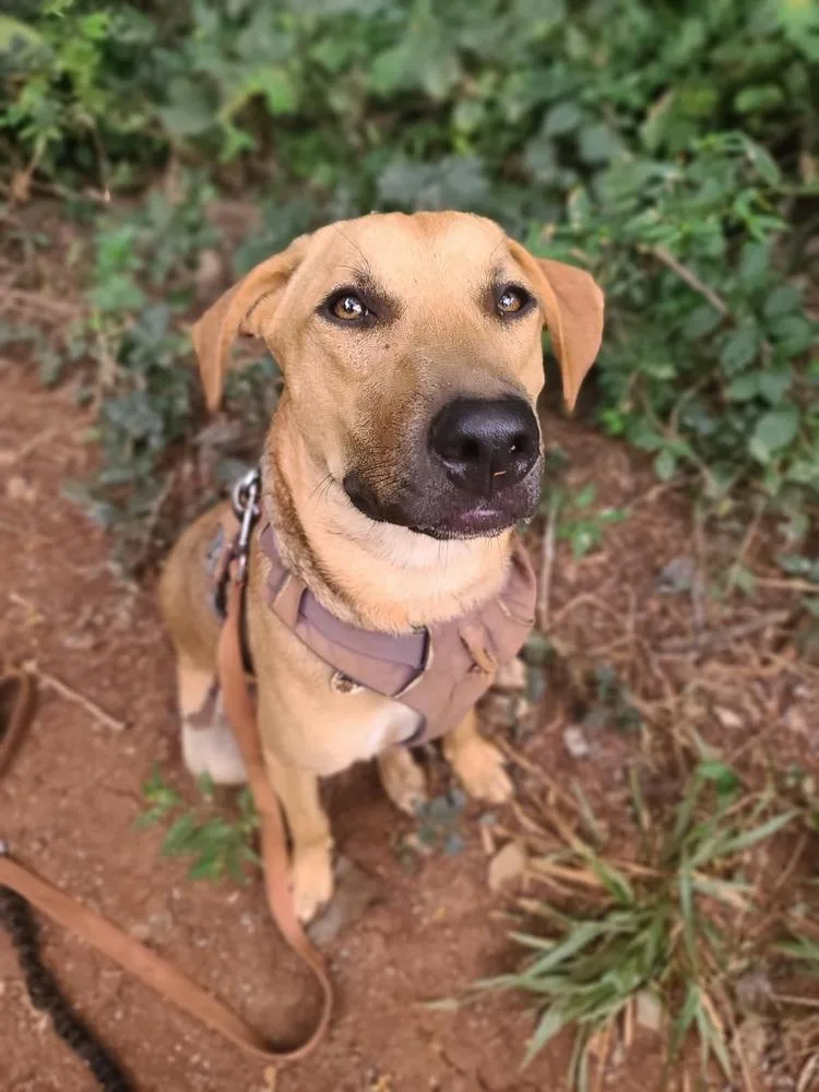 Raquel  Money Heist thumbnail 3