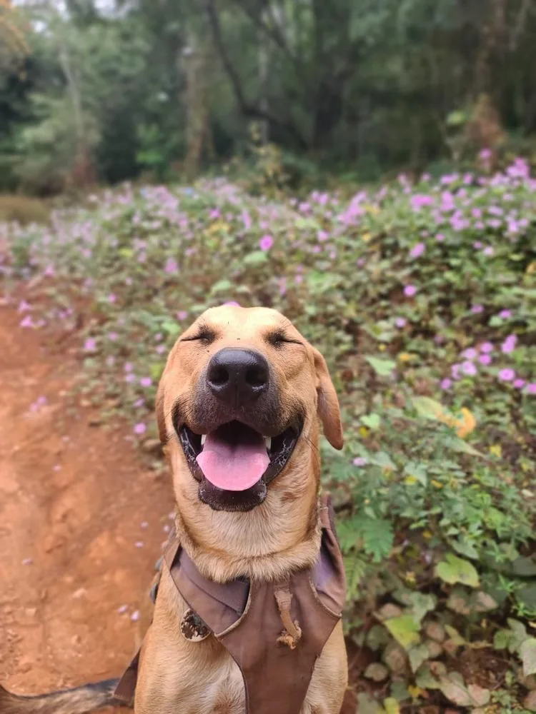 Raquel  Money Heist thumbnail 4