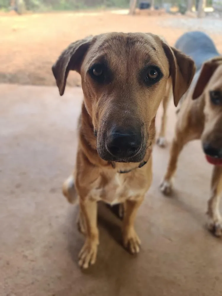 Raquel  Money Heist thumbnail 5