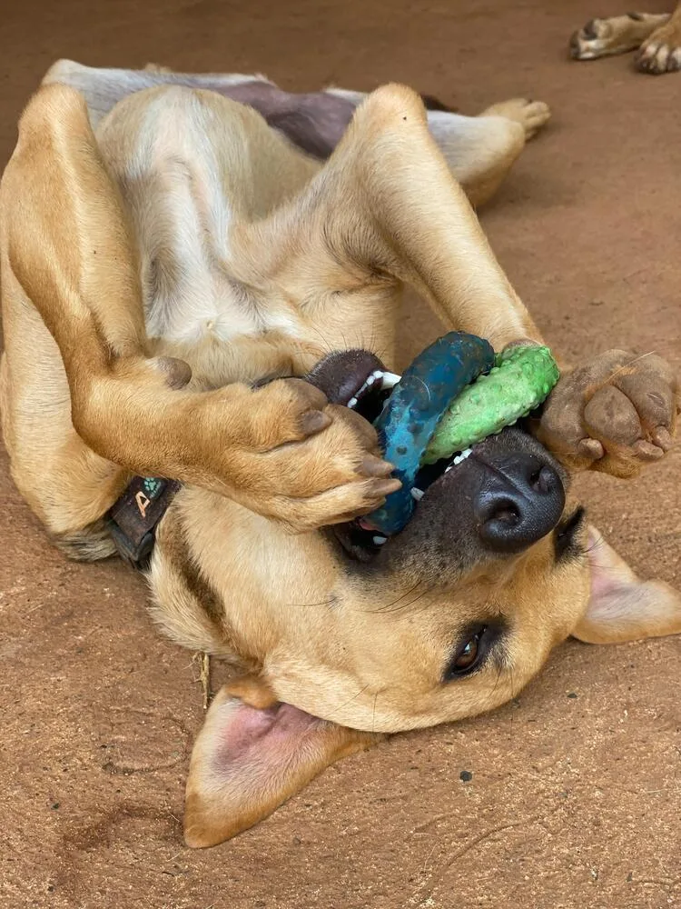 Raquel  Money Heist thumbnail 6