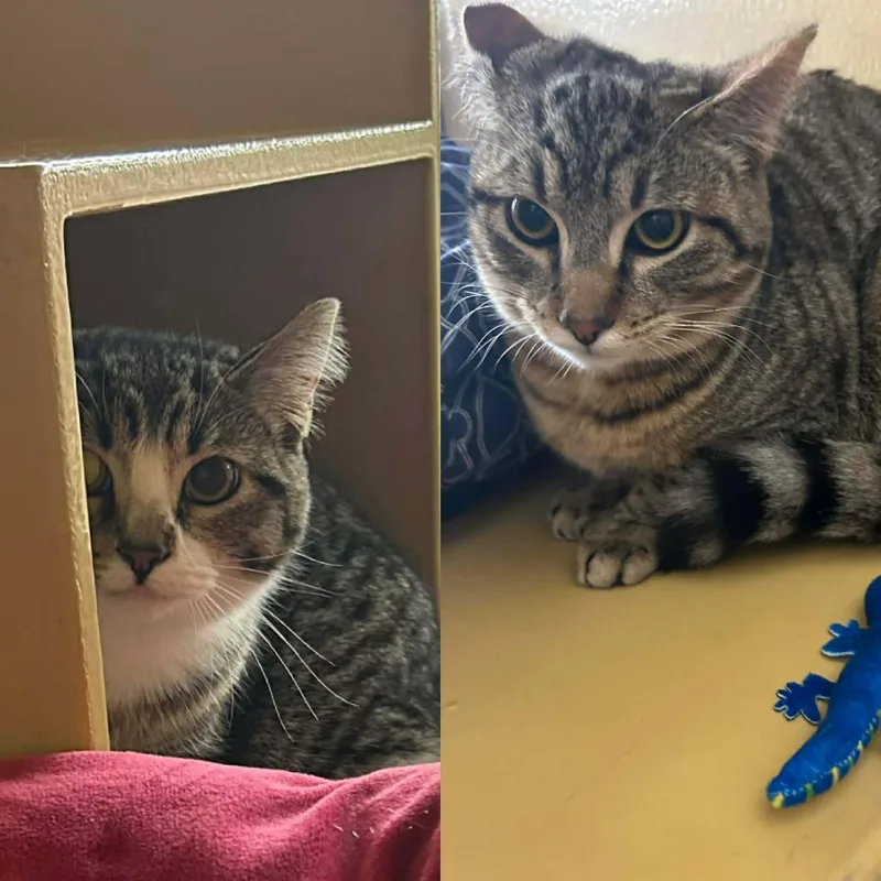 Daiquiri & Swizzle thumbnail 3