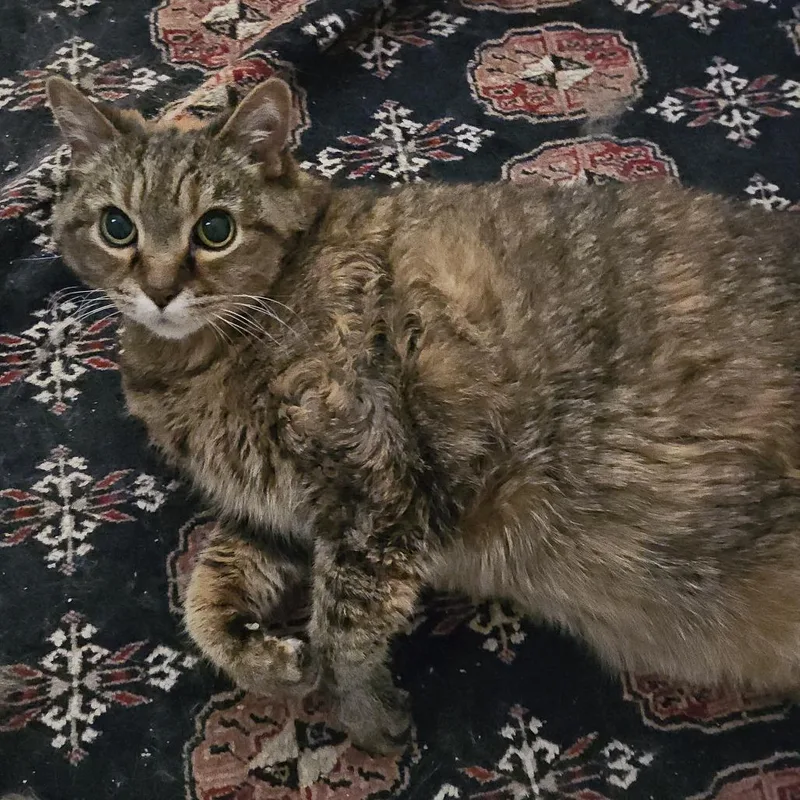 Cutie  Home To