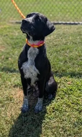Cocoa Chanel