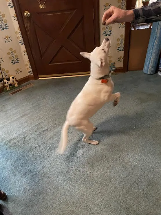 Missy May thumbnail 2