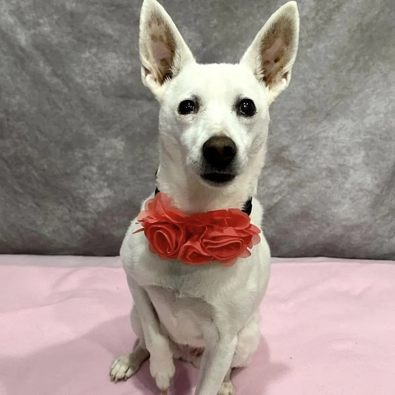 Missy May thumbnail 3