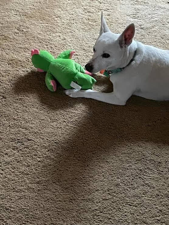 Missy May thumbnail 5