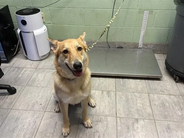 Axel