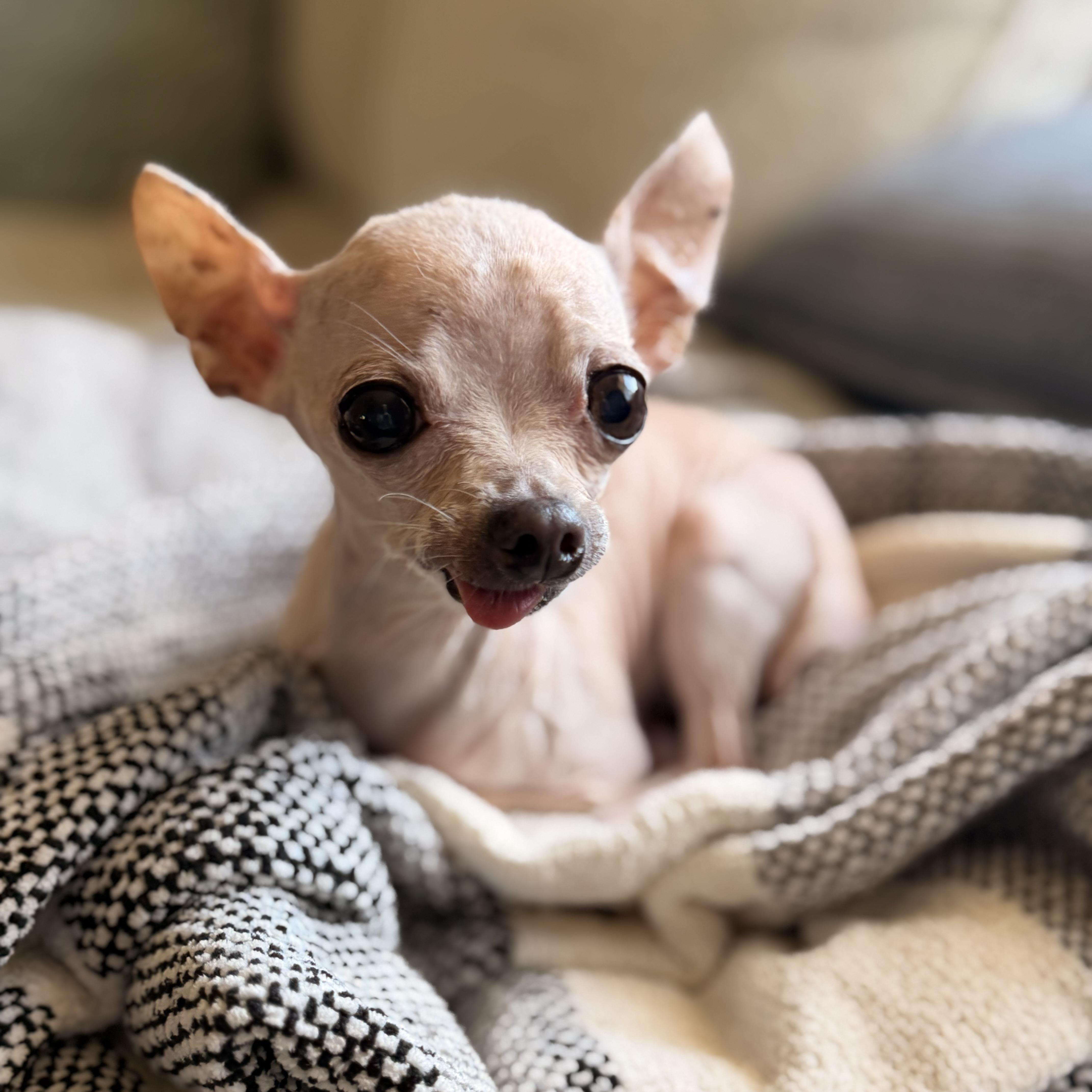 Coco