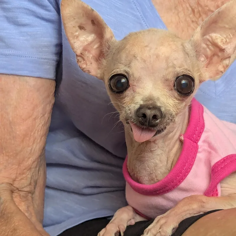 Coco thumbnail 2