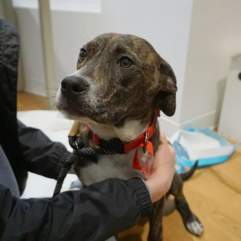 Cheerios thumbnail 5