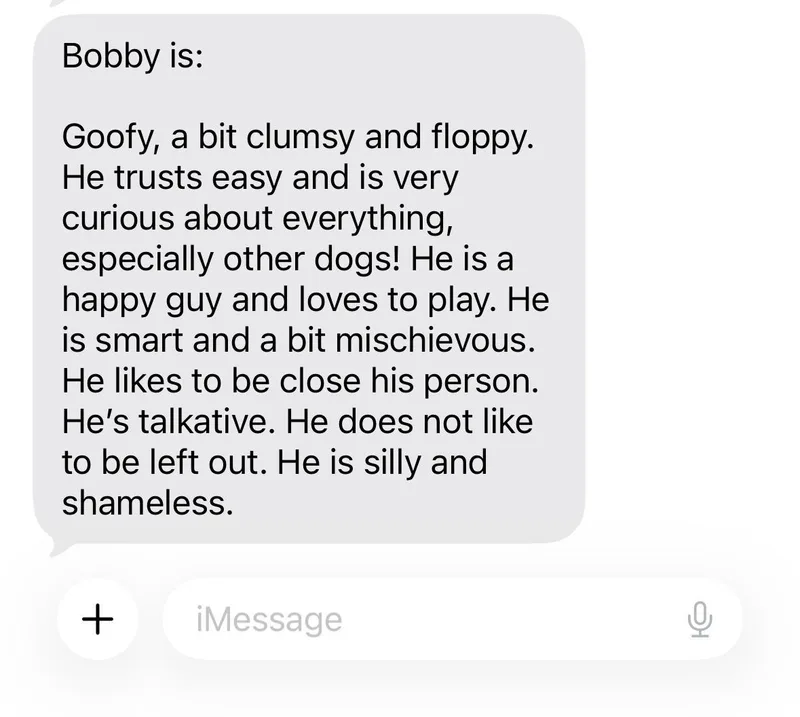 Bobby thumbnail 5