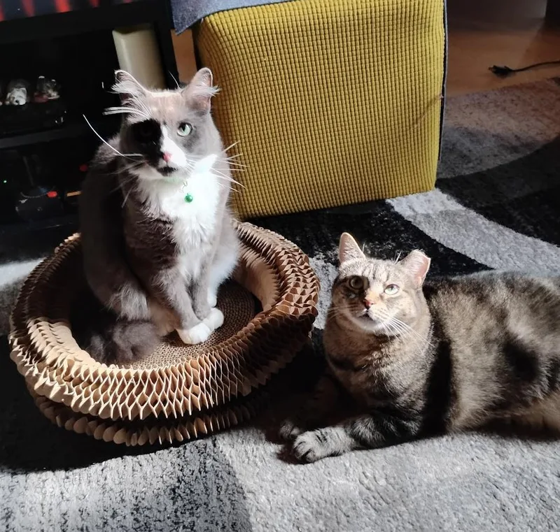 Willow And Flopper thumbnail 3