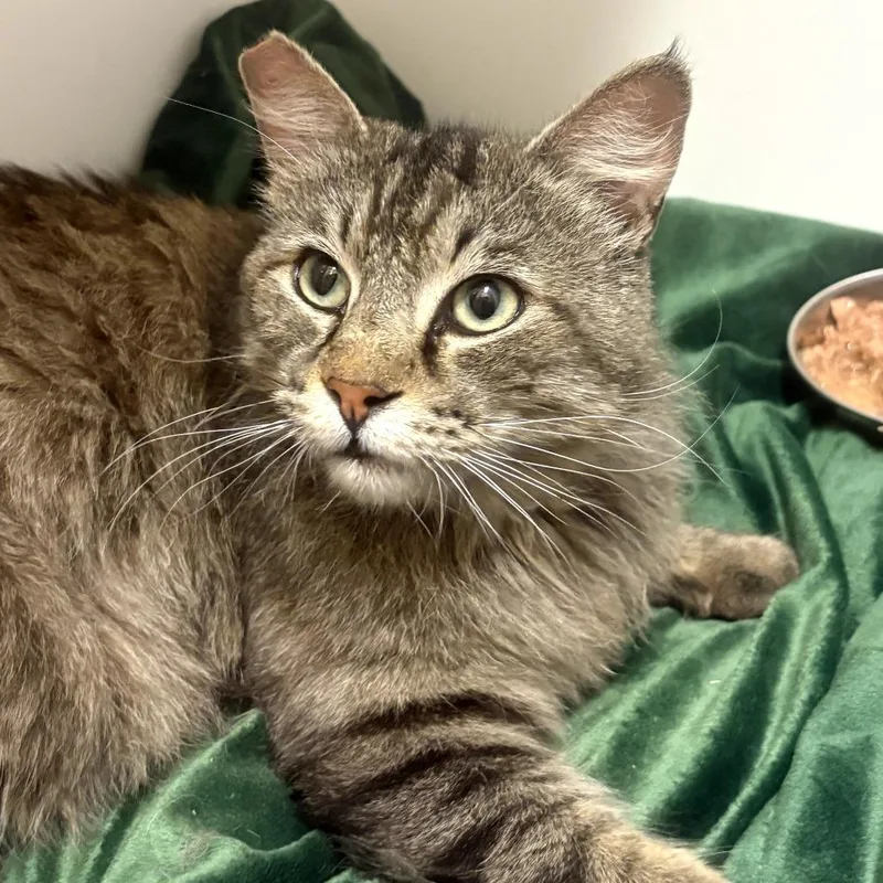 Bruce  City Of thumbnail 2