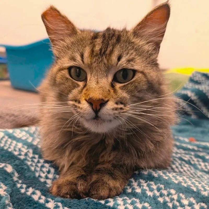 Bruce  City Of thumbnail 3