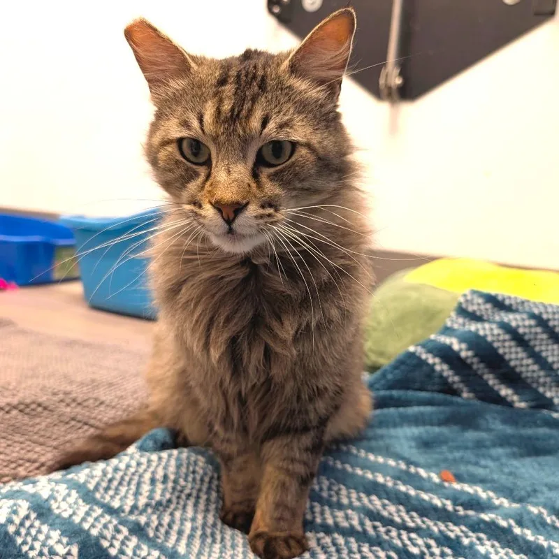 Bruce  City Of thumbnail 4