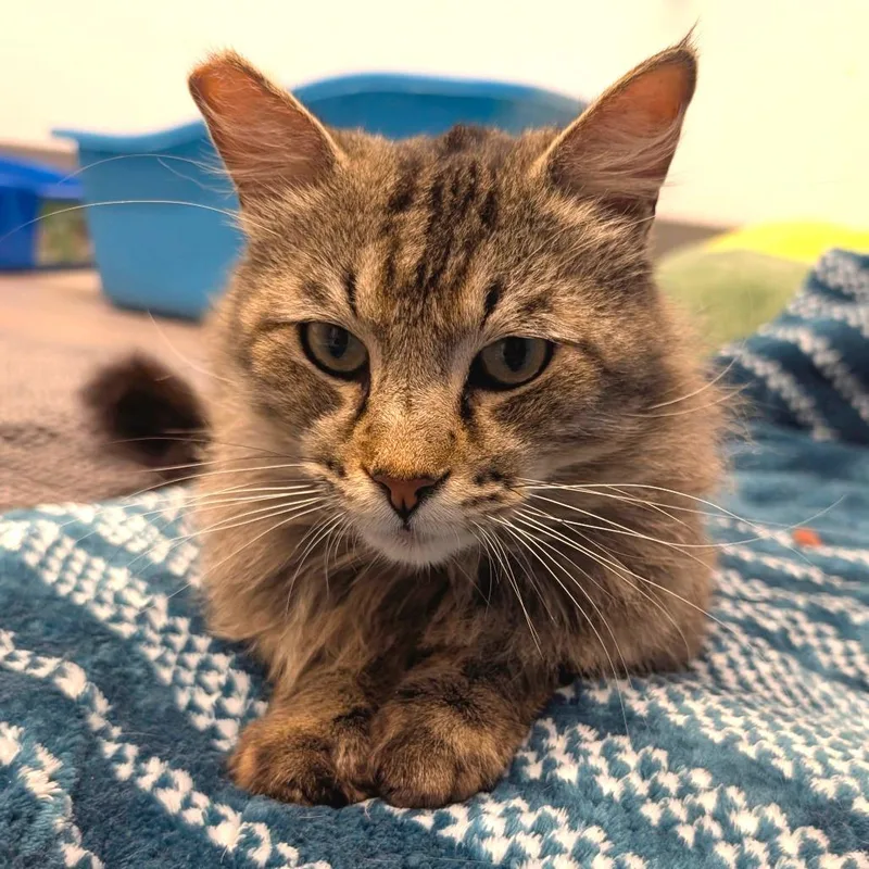 Bruce  City Of thumbnail 5