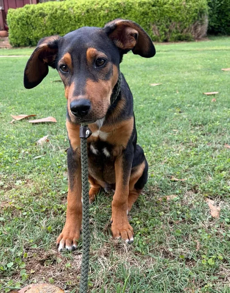 Benny