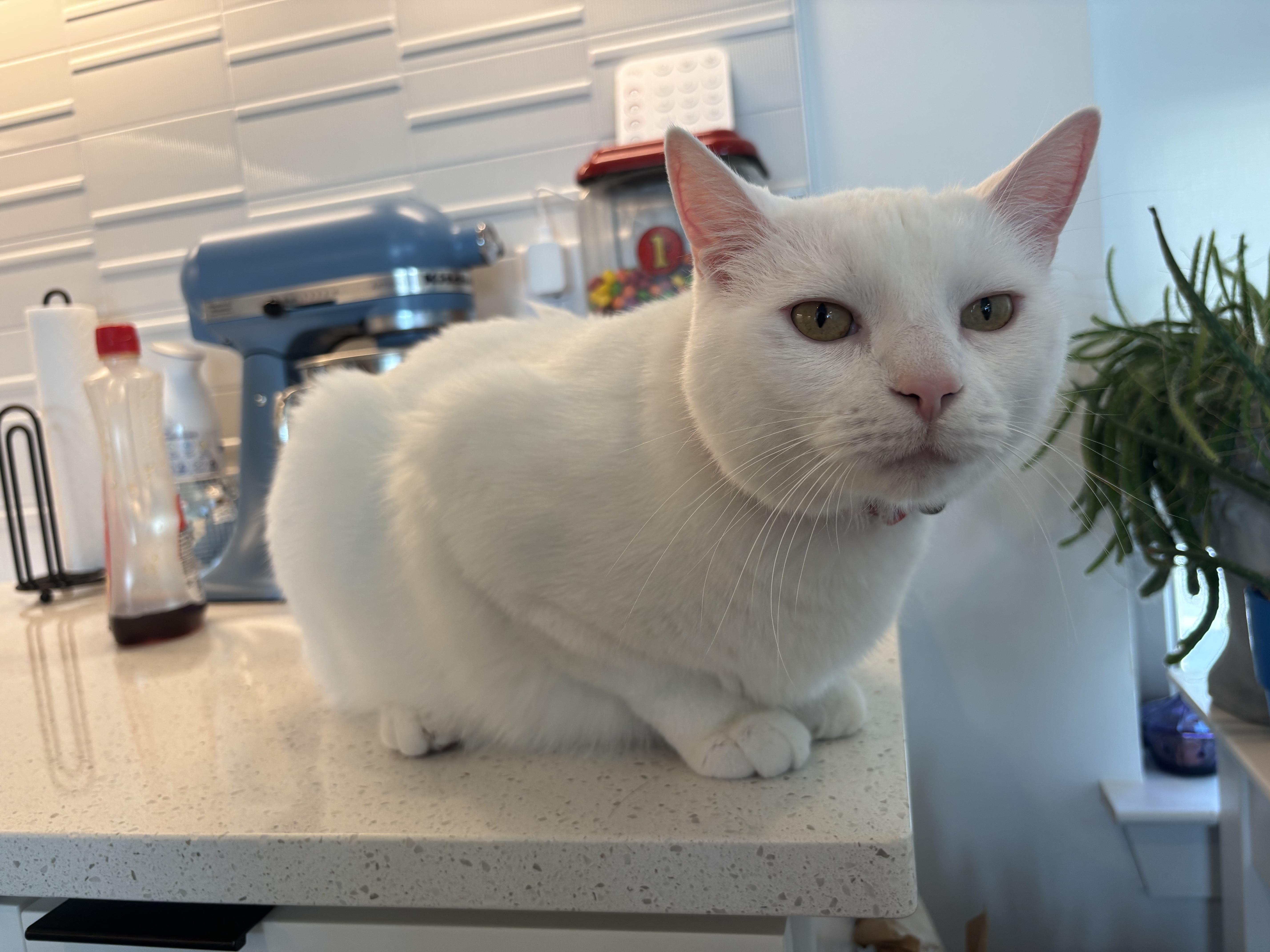 Casper thumbnail 2