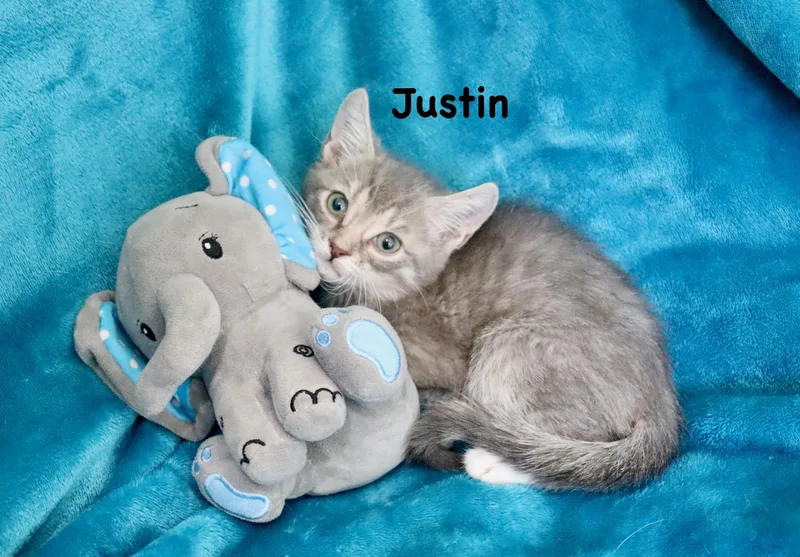 Justin thumbnail 2