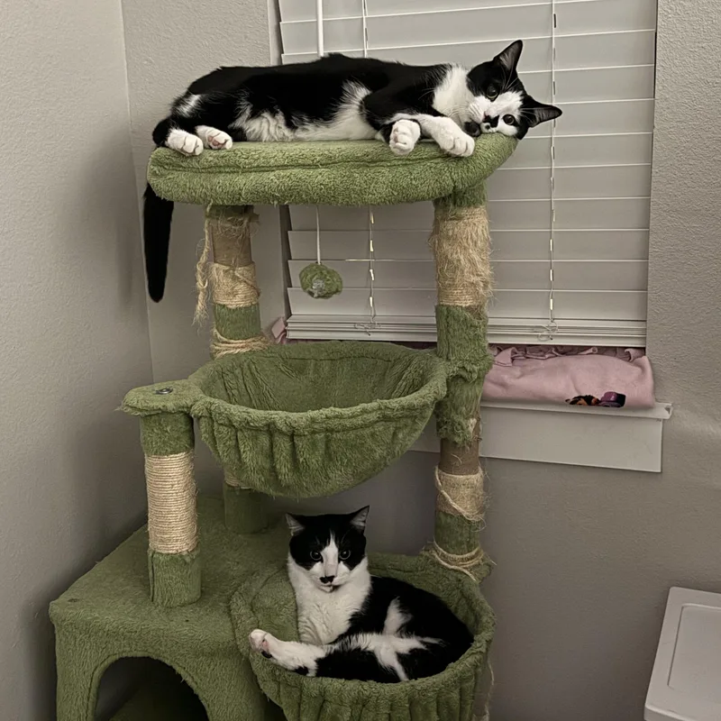 Wright And Lenny thumbnail 2