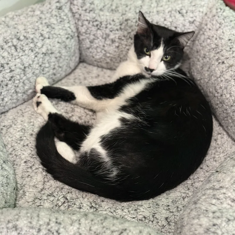 Wright And Lenny thumbnail 3