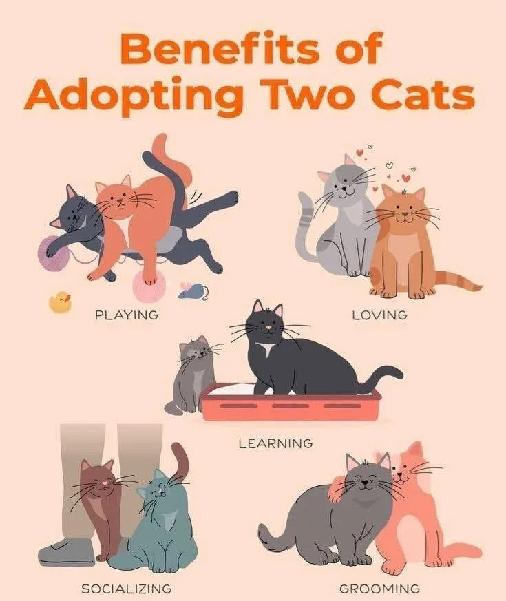 Wright And Lenny thumbnail 4